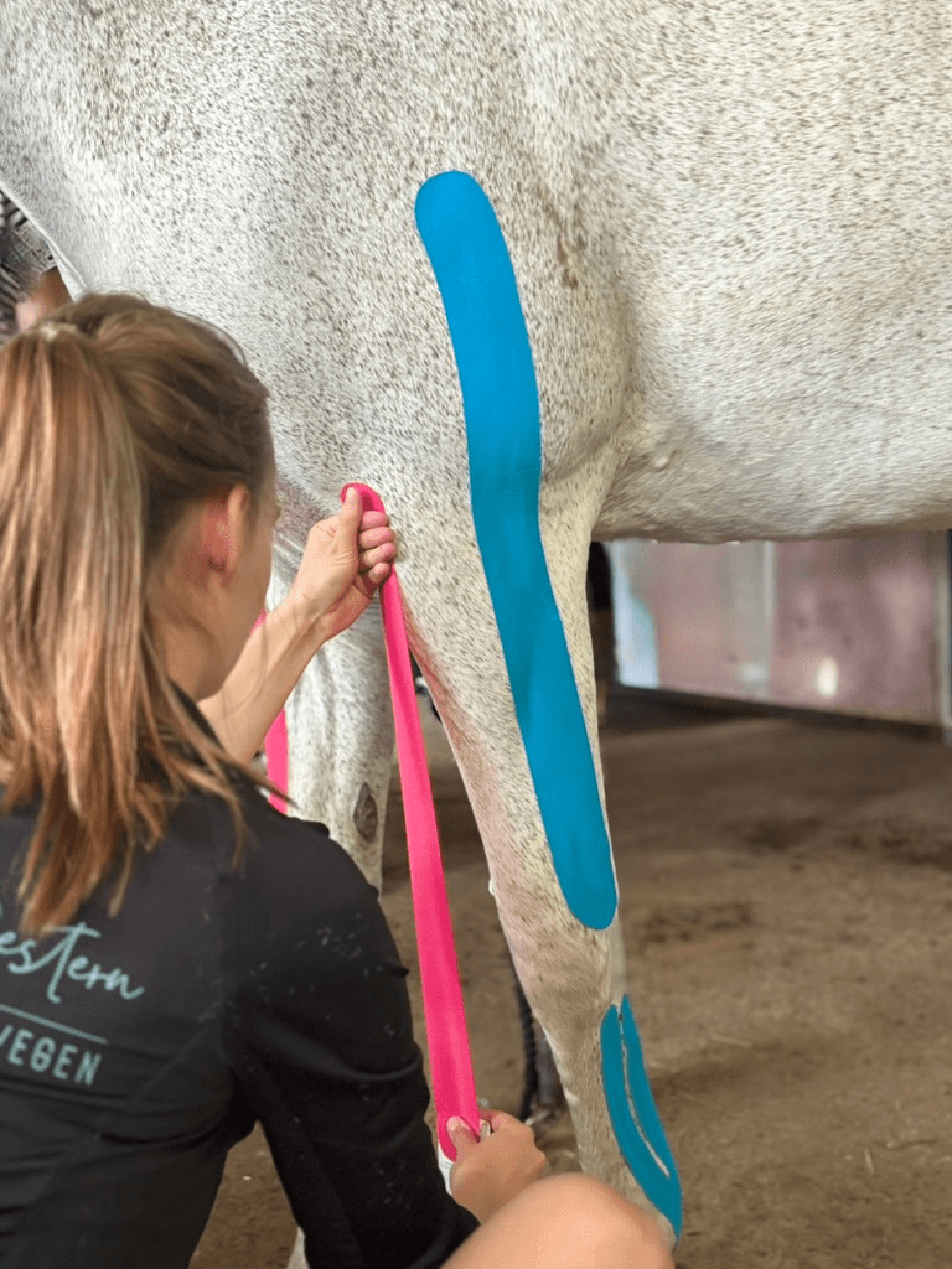 Tapeanlage am weißen Pferd