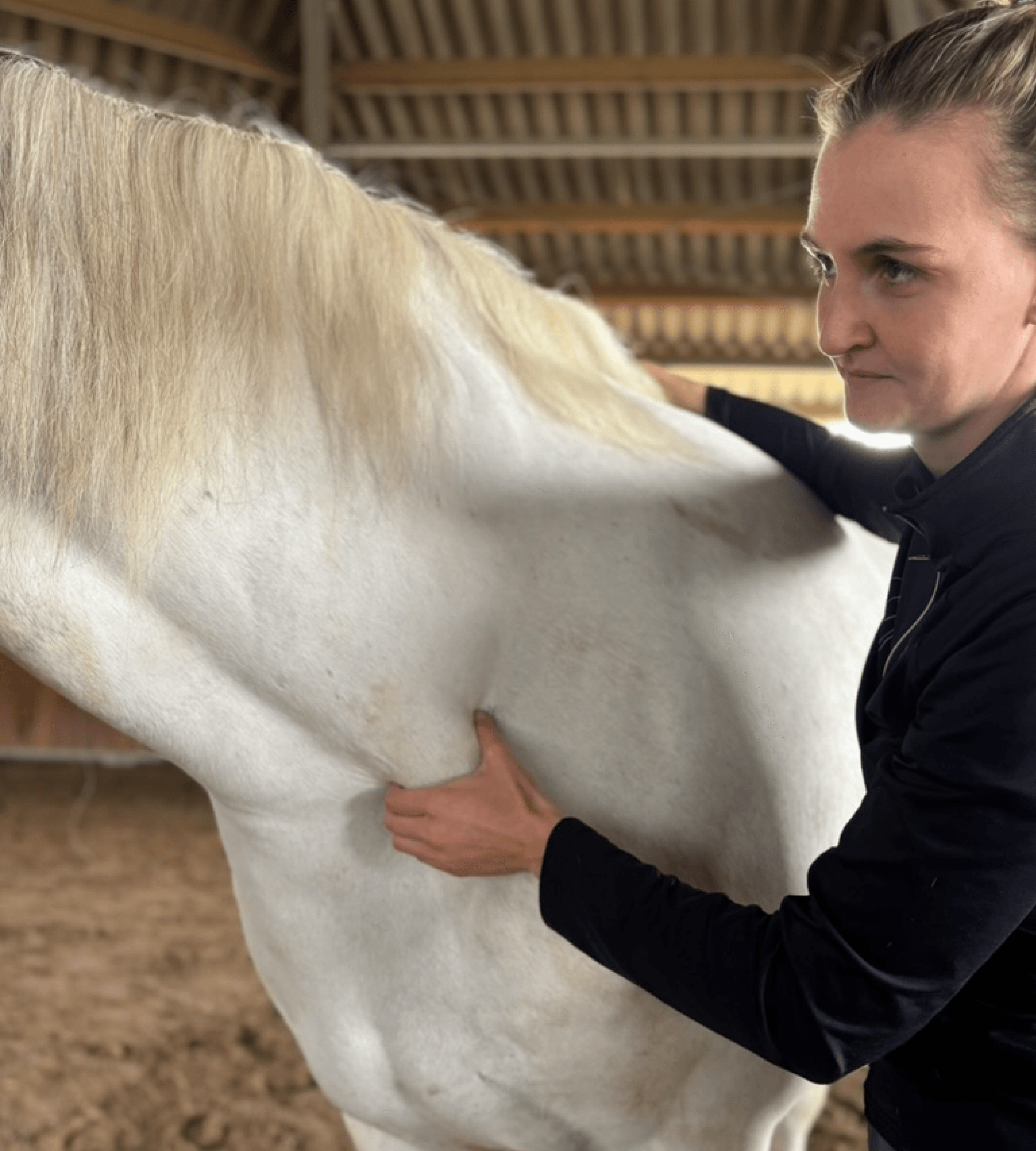 Maike Oestern bei der manuellen Behandlung eines Pferdes